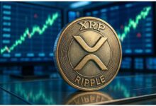 TCAP币全解析-虚拟币钱包