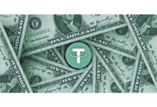 哪里可以了解LTK虚拟币的详细信息？-虚拟币钱包