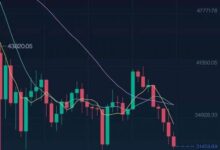 哪些方面了解Bnb98虚拟币?-虚拟币钱包