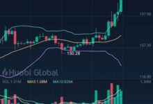 汪扬解密:如何破解虚拟币投资密码-虚拟币钱包