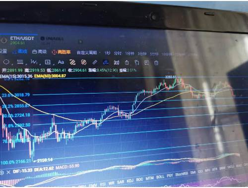 为什么czr虚拟币备受关注？