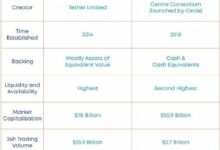 RITO虚拟币指南：2026年投资与购买攻略-虚拟币钱包