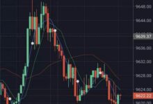 哪些方面决定了LIF虚拟币的成功与挑战？-虚拟币钱包