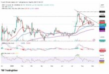 哪里可以详细了解FTM虚拟币?-虚拟币钱包