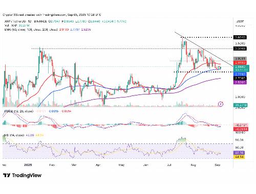 哪里可以详细了解FTM虚拟币？