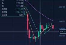 “649美元怎么安装与使用？”-虚拟币钱包