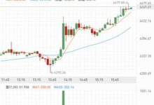 哪里可以找到AXIE虚拟币的全面分析?-虚拟币钱包