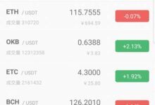 BNF虚拟币：哪些关键要素需了解-虚拟币钱包