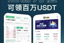 孟岩:虚拟币市场的崛起与未来展望-虚拟币钱包