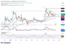 THB汇率波动,虚拟币市场风云再起!-虚拟币钱包