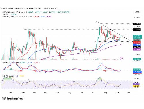 哪里可以全面了解EOP虚拟币的优劣与前景？