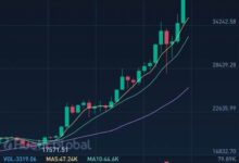 MNC虚拟币：哪个方面不容忽视-虚拟币钱包