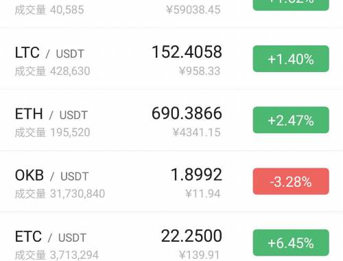 OES虚拟币投资解析：五大关键要素及风险概览