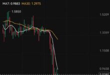 解码虚拟币新机遇：轻松掌握投资秘籍，财富翻倍不是梦！-虚拟币钱包