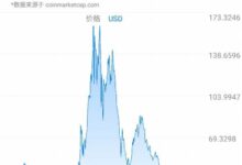 VADER虚拟币：最新背景、特点、市场分析及未来趋势全解析-虚拟币钱包