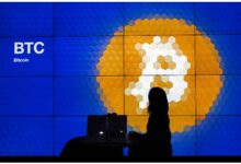 韩锋：币圈智者洞察录-虚拟币钱包