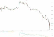 Luny虚拟币解析：多少亮点与风险并存-虚拟币钱包