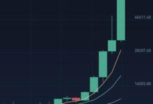 Dsk虚拟币崛起，未来潜力无限！-虚拟币钱包