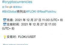 最好的PETN虚拟币全面解析-虚拟币钱包