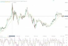Zim币解析：技术、市场与投资洞察-虚拟币钱包