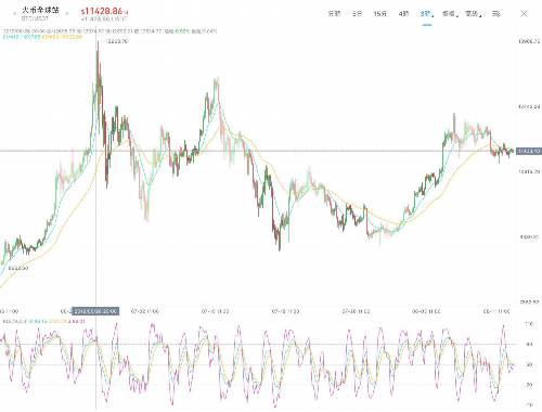 Zim币解析：技术、市场与投资洞察