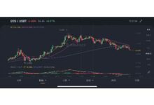 Vivid虚拟币指南：2026年投资攻略与市场分析-虚拟币钱包