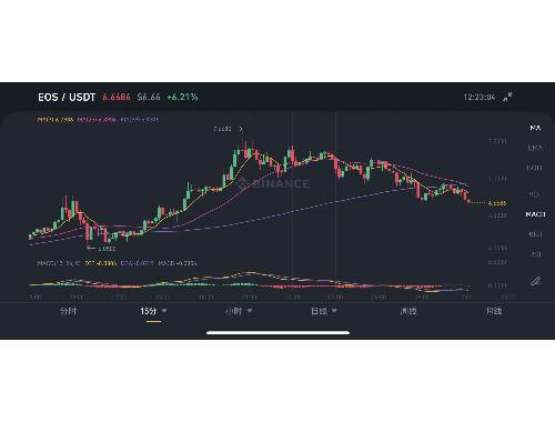 Vivid虚拟币指南：2026年投资攻略与市场分析
