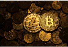 全面解析:Hzt虚拟币的特、势、危、机与投资指南-虚拟币钱包