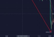 bq虚拟币：了解其特点、市场表现及未来趋势-虚拟币钱包