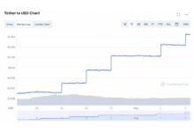 BSK虚拟币：最好的技术特点与市场前景解析-虚拟币钱包