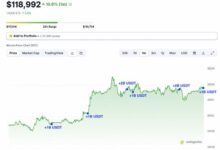 莫维虚拟币：哪个特点、优势、风险及投资策略详解-虚拟币钱包