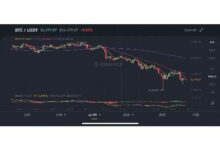 IP3虚拟币：了解其特点、应用、市场及投资前景的五大关键点-虚拟币钱包