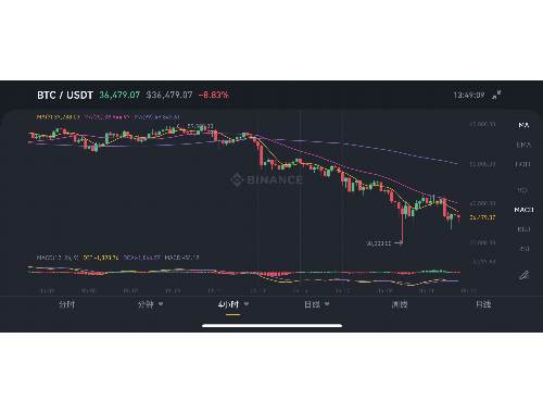 IP3虚拟币：了解其特点、应用、市场及投资前景的五大关键点