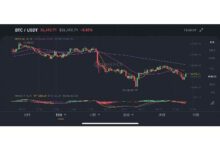 XPC虚拟币全解析:特点、前景、风险及投资指南-虚拟币钱包