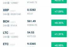 WPI虚拟币:最佳投资与市场解析-虚拟币钱包