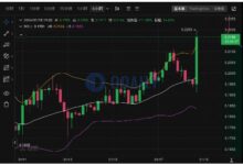 最佳Bob虚拟币解析-虚拟币钱包