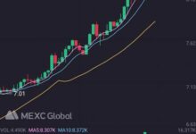 Hli虚拟币哪个方面值得投资？-虚拟币钱包