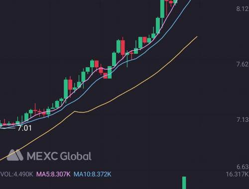 Hli虚拟币哪个方面值得投资？