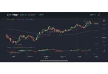 Gldm虚拟币全解析:特点、应用、前景及投资指南-虚拟币钱包