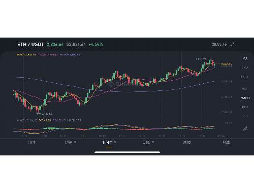 Gldm虚拟币全解析：特点、应用、前景及投资指南
