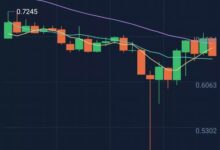 XLC深度解析：揭秘如何稳定收益，把握虚拟币投资新机遇-虚拟币钱包