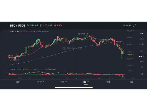 ylb虚拟币:最佳技术特点与市场前景分析 ylb虚拟币:最佳技术特点与市场前景分析