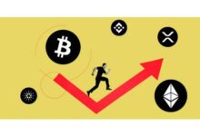 Metr：数字货币解析与投资指南-虚拟币钱包