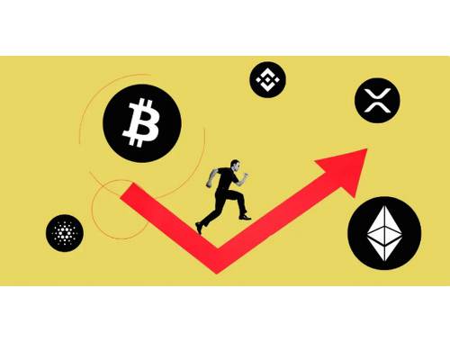 Metr:数字货币解析与投资指南 Metr:数字货币解析与投资指南