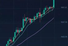 Celer虚拟币：全面解析与深度解读-虚拟币钱包