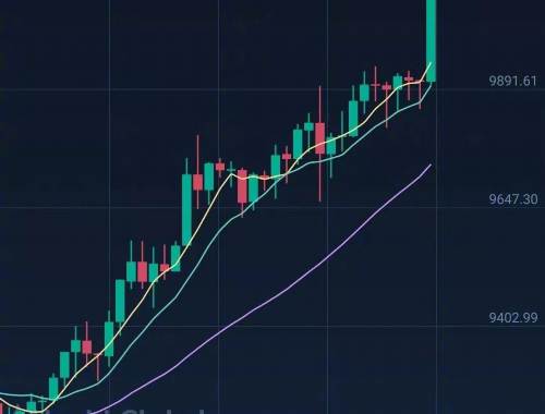 Celer虚拟币:全面解析与深度解读 Celer虚拟币:全面解析与深度解读