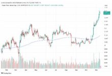 BCK虚拟币:前景、投资、对比与风险全解析-虚拟币钱包