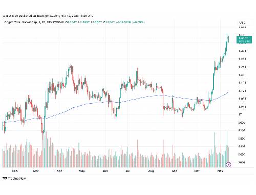 Evy虚拟币:投资前景及风险分析 Evy虚拟币:投资前景及风险分析